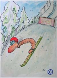 Skispringer